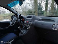 Fiat Panda - 1.2 Edizione Cool / NAP / AIRCO