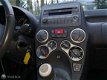 Fiat Panda - 1.2 Edizione Cool / NAP / AIRCO - 1 - Thumbnail