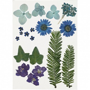 Droog bloemen en bladeren blauw 19 delig - 1
