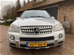 Mercedes-Benz M-klasse - 420 CDI AMG Grijs Kenteken - 1 - Thumbnail