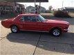 Ford Mustang - MUSTANG - 1 - Thumbnail