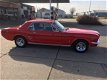 Ford Mustang - MUSTANG - 1 - Thumbnail