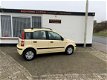 Fiat Panda - 1.1 Active Plus - 1 - Thumbnail