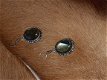 Handgemaakte zwaar verzilverde Labradoriet oorbellen 9 - 1 - Thumbnail