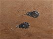 Handgemaakte zwaar verzilverde Labradoriet oorbellen 11 - 1 - Thumbnail