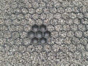GRASPLATEN / GRINDPLATEN - Afbeelding 6