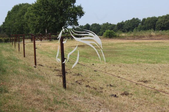 Veld Omheiningen, weidepalen, omheining, afrastering, paard - Afbeelding 7