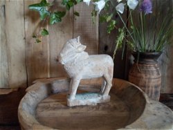 2990 Stoere oude nandi koe