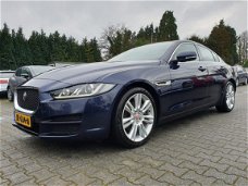 Jaguar XE - 2.0 D Portfolio *NAVI+LEDER+XENON+MERIDIAN+ECC+PDC