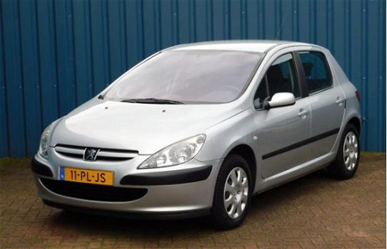 Peugeot 307 - 1.6-16V XS 