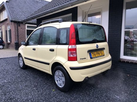 Fiat Panda - 1.2 apk nov/stuurbekr/5drs/el.ramen - 1