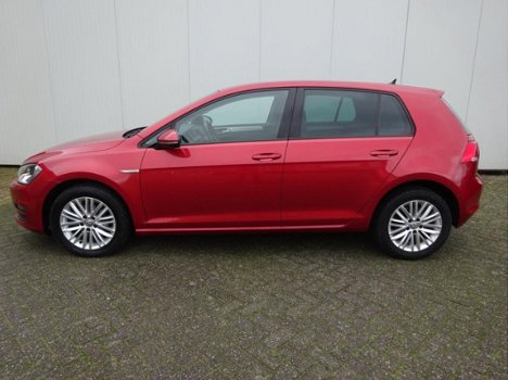 Volkswagen Golf - 1.2 TSI CUP Edition 40 - 1