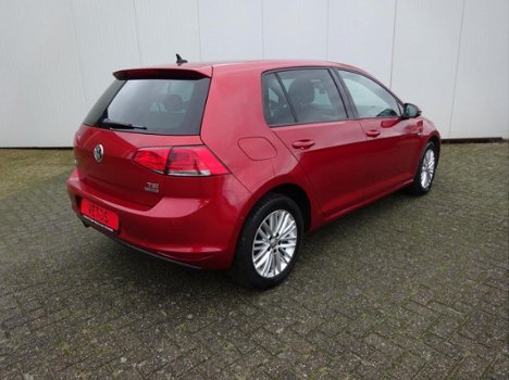 Volkswagen Golf - 1.2 TSI CUP Edition 40 - 1