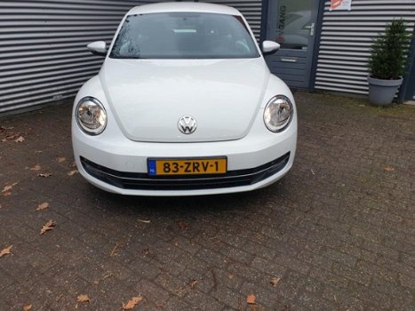 Volkswagen Beetle - 1.2 TSI Design - 1