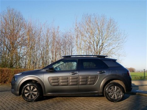 Citroën C4 Cactus - 1.6 BlueHDi Plus Panorama Navi Camera - 1