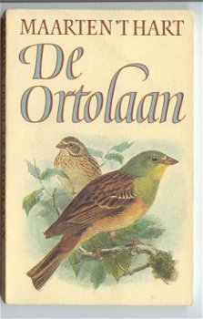 Boekenweekgeschenk 1984: De ortolaan- Maarten 't Hart. - 1