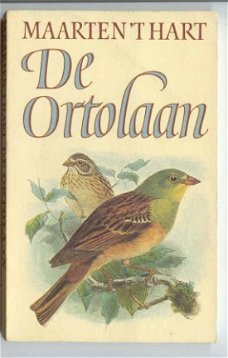 Boekenweekgeschenk 1984:  De ortolaan- Maarten 't Hart.