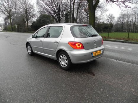 Peugeot 307 - 1.6-16V XS - 1