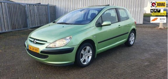 Peugeot 307 - 1.6-16V XS | NW APK 10-01-2021| Nette auto - 1