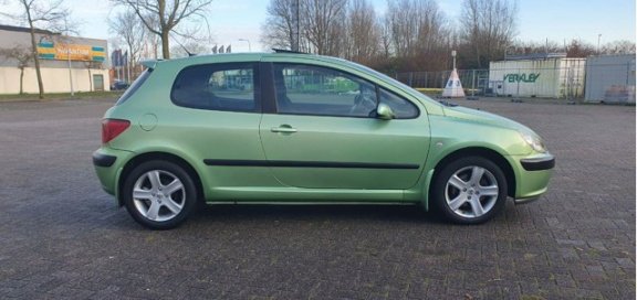 Peugeot 307 - 1.6-16V XS | NW APK 10-01-2021| Nette auto - 1