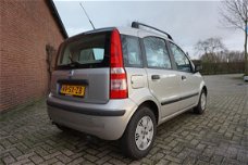 Fiat Panda - 1.2 Dynamic LOW BUDGET CAR