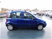 Fiat Panda - 1.2 Edizione Cool - 1 - Thumbnail