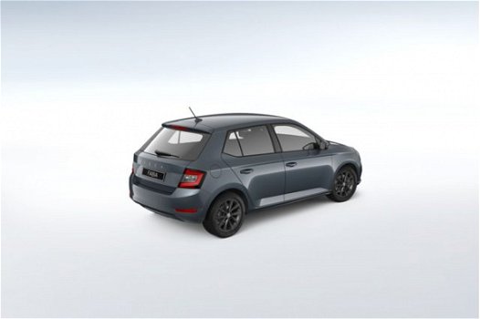 Skoda Fabia - 1.0 TSI Business Edition Navigatiesysteem, Bluetooth, App, Stoelverwarming - 1