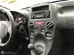 Fiat Panda - 1.2 Celebration 