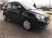 Suzuki Celerio - 1.0 