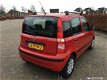 Fiat Panda - PANDA - 1 - Thumbnail