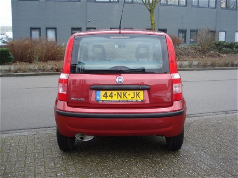 Fiat Panda - 1.2 Dynamic - 1