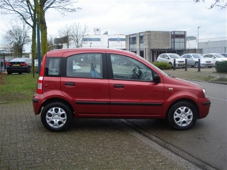 Fiat Panda - 1.2 Dynamic - 1