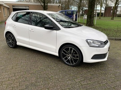 Volkswagen Polo - 1.4 TSI BlueGT - 1