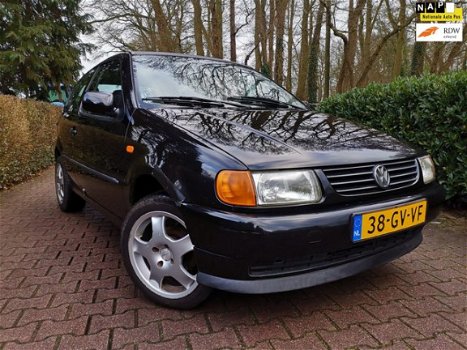 Volkswagen Polo - 1.0 | Nette auto | Licht metaal - 1