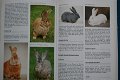 Konijnen en knaagdieren encyclopedie - 2 - Thumbnail