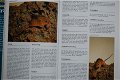 Konijnen en knaagdieren encyclopedie - 3 - Thumbnail