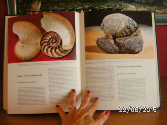 encyclopedie dierenwereld - Afbeelding 2