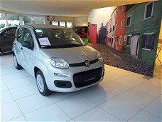 Fiat Panda - 1.2 Easy