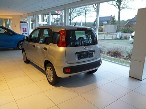 Fiat Panda - 1.2 Easy - 1