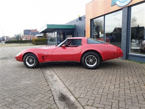 Corvette C3 - 350 V8 AUTOMATIC - 1