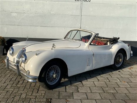 Jaguar XK - 140 SE 3.4 DHC LHD - 1