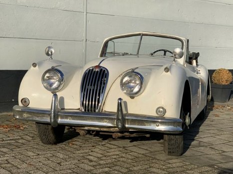 Jaguar XK - 140 SE 3.4 DHC LHD - 1