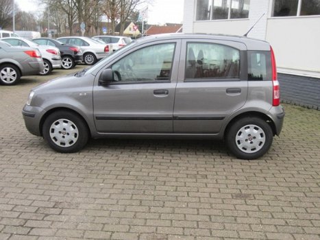 Fiat Panda - 1.2 69pk Active - 1