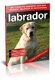Labrador handboek - 1 - Thumbnail