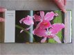 Bloemen /Flowers - 2 - Thumbnail