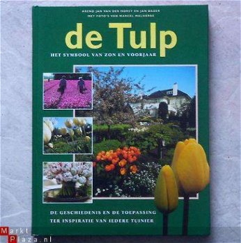 de Tulp - 1