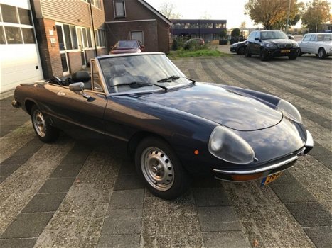 Alfa Romeo Spider - 2.0 Veloce 1980 nette staat - 1