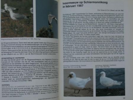 Vogels, Nieuw in Nederland - 2
