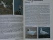 Vogels, Nieuw in Nederland - 2 - Thumbnail