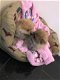 Schattige Pomeranian-puppy beschikbaar - 1 - Thumbnail